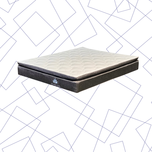 Wellness Coil - Queen Mattress